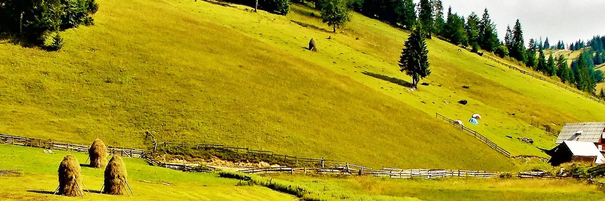 PRIMĂRIA GÂRDA DE SUS