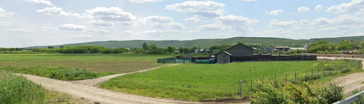 PRIMĂRIA GOLĂIEŞTI