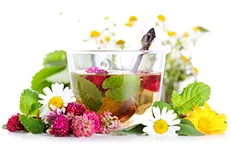 NUTRI - PLANT - MED SRL