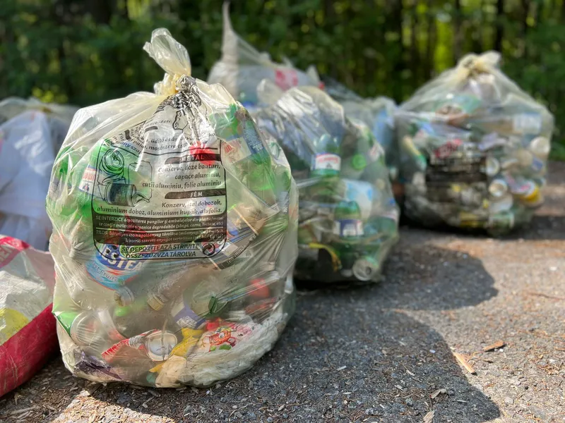 Angajații Consiliului Județean Bihor, la o acțiune de igienizare în ,,Luna curățeniei”