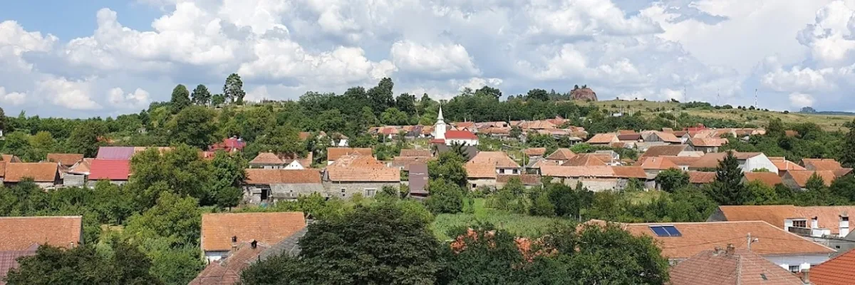 PRIMĂRIA RACOŞ