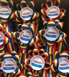 Cocarde tricolor