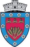 PRIMĂRIA VALEA LARGĂ