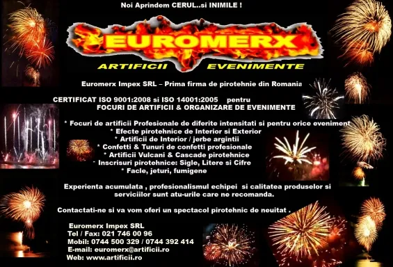 Focuri de artificii Profesionale