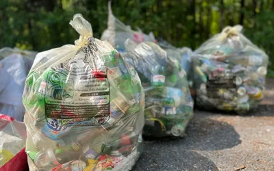 Angajații Consiliului Județean Bihor, la o acțiune de igienizare în ,,Luna curățeniei”