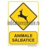 Indicatoare personalizate