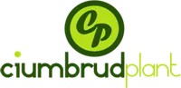 CIUMBRUD PLANT SRL