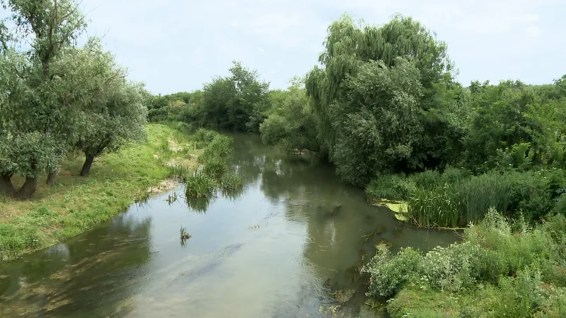 Viziune de primar: Andrei Lucia, primarul comunei Bulbucata, județul Giurgiu