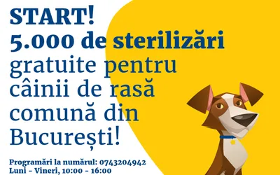 Începe campania de șterilizare gratuită a 5.000 de căței cu deținător