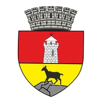 PRIMĂRIA PIATRA NEAMŢ