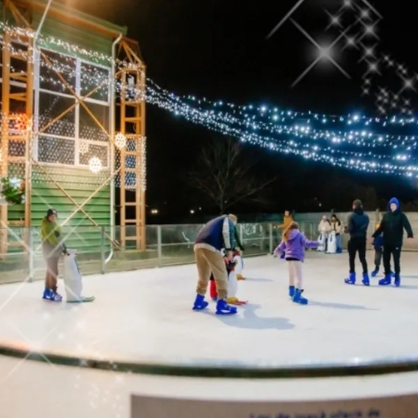 Titu a ales patinoarul ecologic Waterboyz