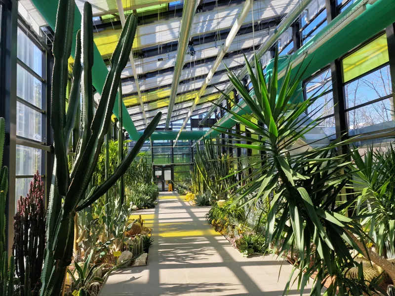 Serele exotice din Parcul Drumul Taberei. Singurele locuri din București unde e vară tot anul