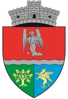 PRIMĂRIA NUŞFALĂU