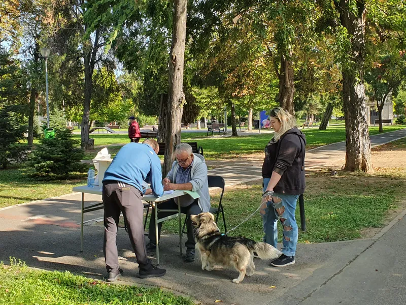 Fii stăpân responsabil, microcipează-ți câinele! Te costă doar 5  minute