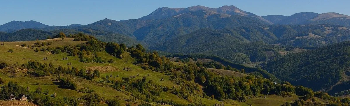 PRIMĂRIA TÂRLIŞUA