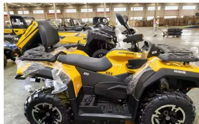 ATV Voltarom Guardian 550L, 4x4, 36cp, CVT Automat, servodirecție electrică, Diferențial Blocabil