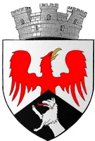 PRIMĂRIA TÂRGU FRUMOS