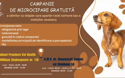 Nu ți-ai microcipat câinele? Ești pasibil de amendă cuprinsă  între 5.000 și 10.000 de lei