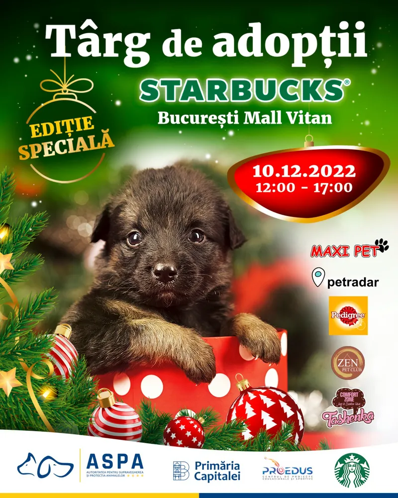 Târg de adopții pentru căței, pe 10 decembrie