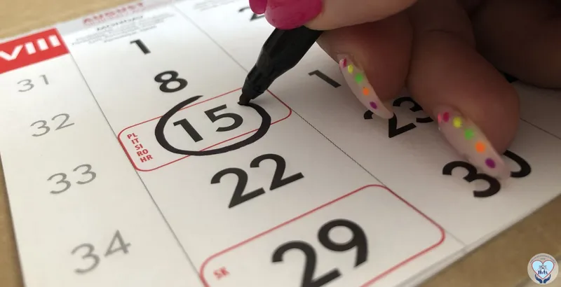 DAS Deva: Program special – luni, 15 august 2022!