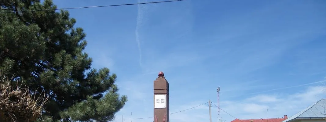 PRIMĂRIA MĂRUNŢEI