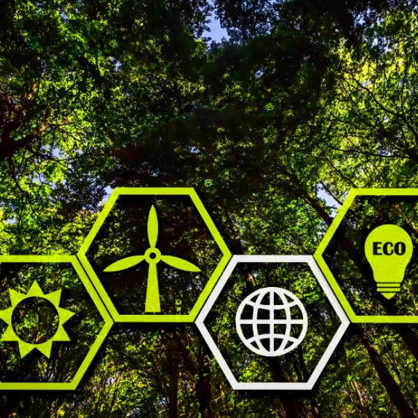 Achizițiile Publice Ecologice: o prioritate strategică pentru România