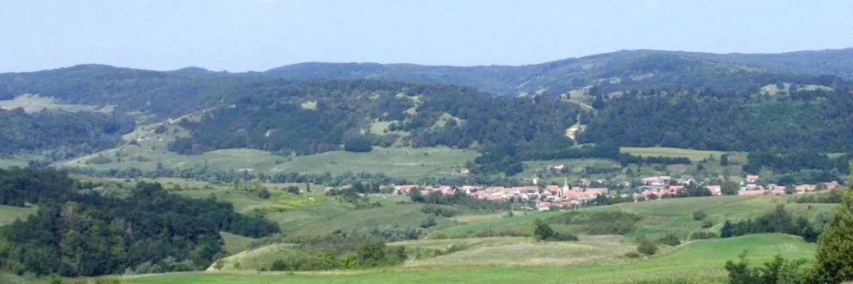 PRIMĂRIA MIHĂILENI