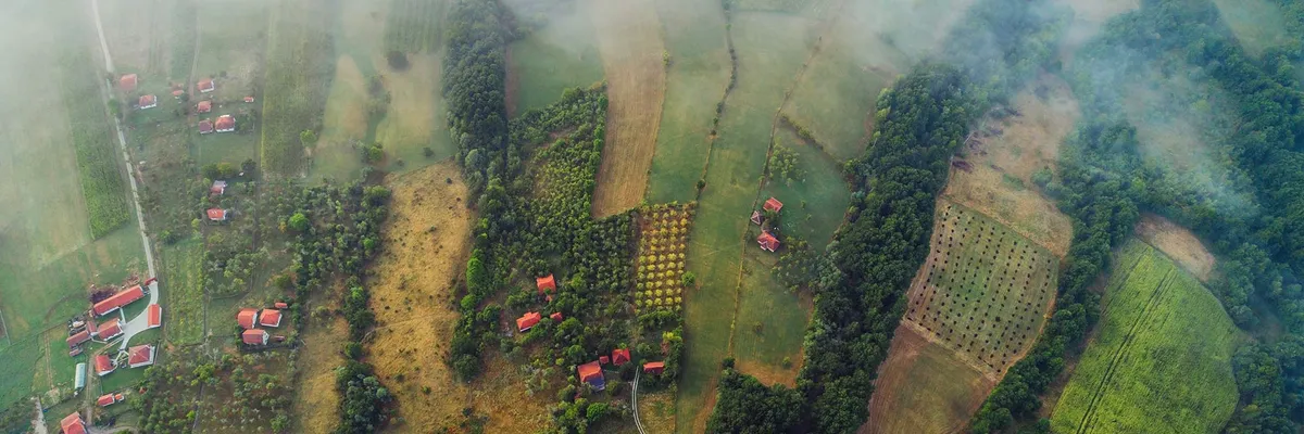 PRIMĂRIA VLĂSINEŞTI