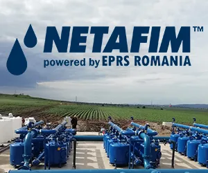 TEHNOLOGIILE VIITORULUI: IRIGAREA DE PRECIZIE prin picurare. Avantaje pentru lucrări peisagistice și agricultură