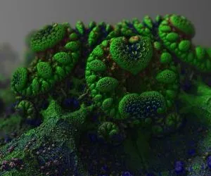 DEZINFECTIA/ COMBATEREA INFECTIILOR SI MICROORGANISMELOR