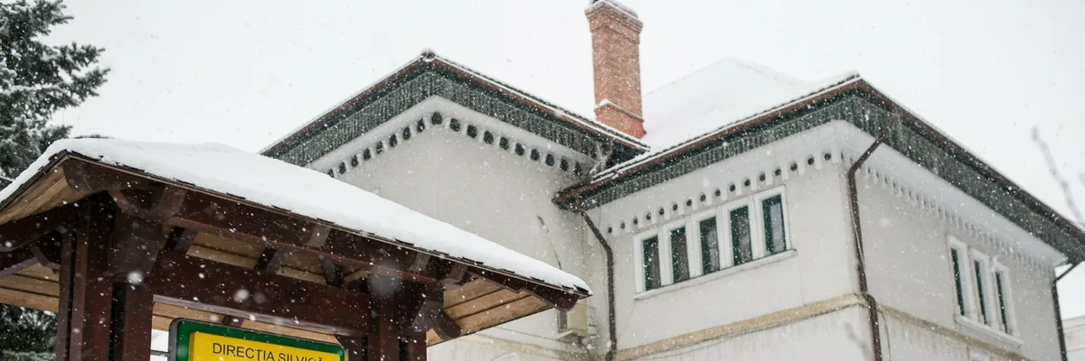 DIRECŢIA SILVICĂ SUCEAVA