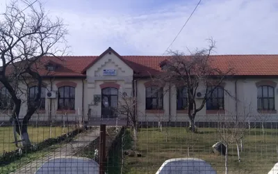 BILANȚ DE MANDAT 2016 - 2020: Domnica Vlad, primarul Comunei Robeasca, județul Buzău