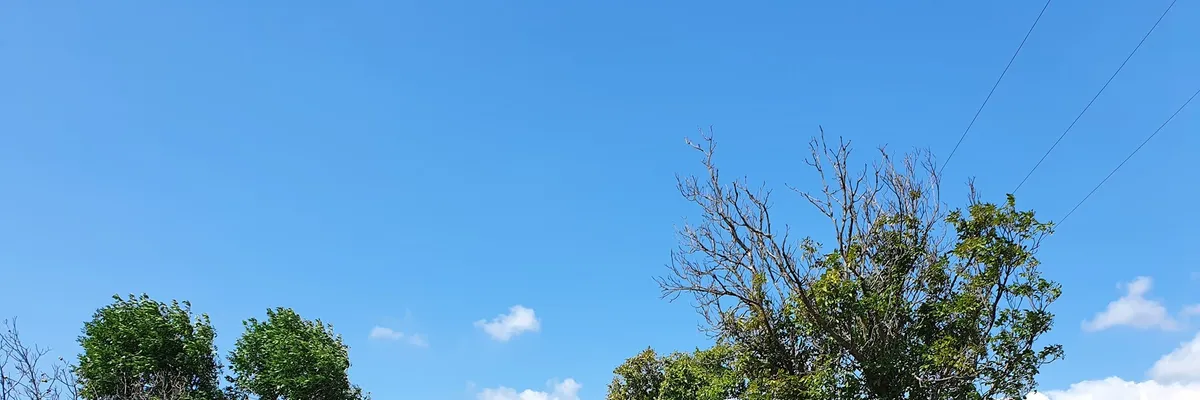 PRIMĂRIA RUGINEŞTI