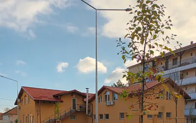 Aproape 700 de arbori ornamentali sunt plantați în cadrul  campaniei de toamnă