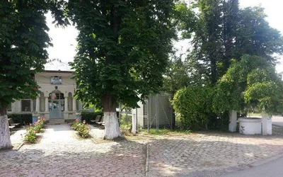 Viziune de Primar: Măgureanu Viorel-Marius, primarul comunei Ștefan cel Mare, județul Olt